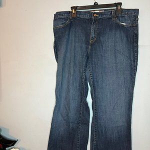 Gap long and lean womens jeans